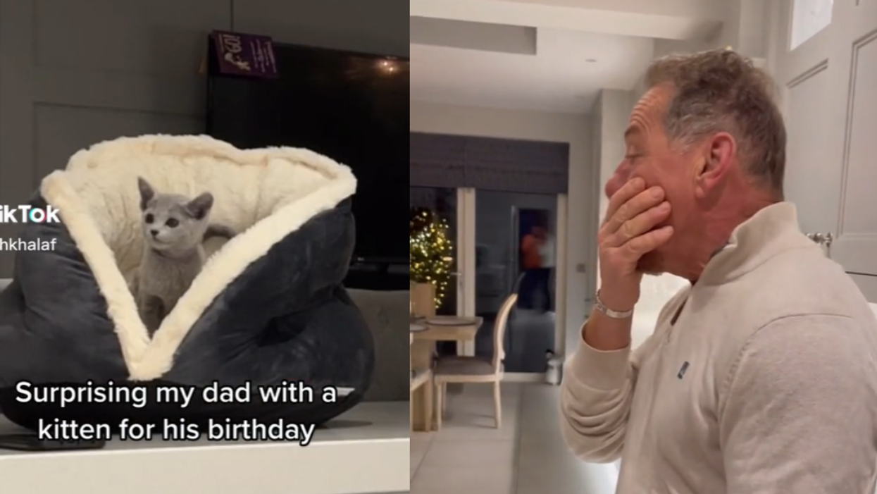 screenshots from @riyadhkhalaf/TikTok