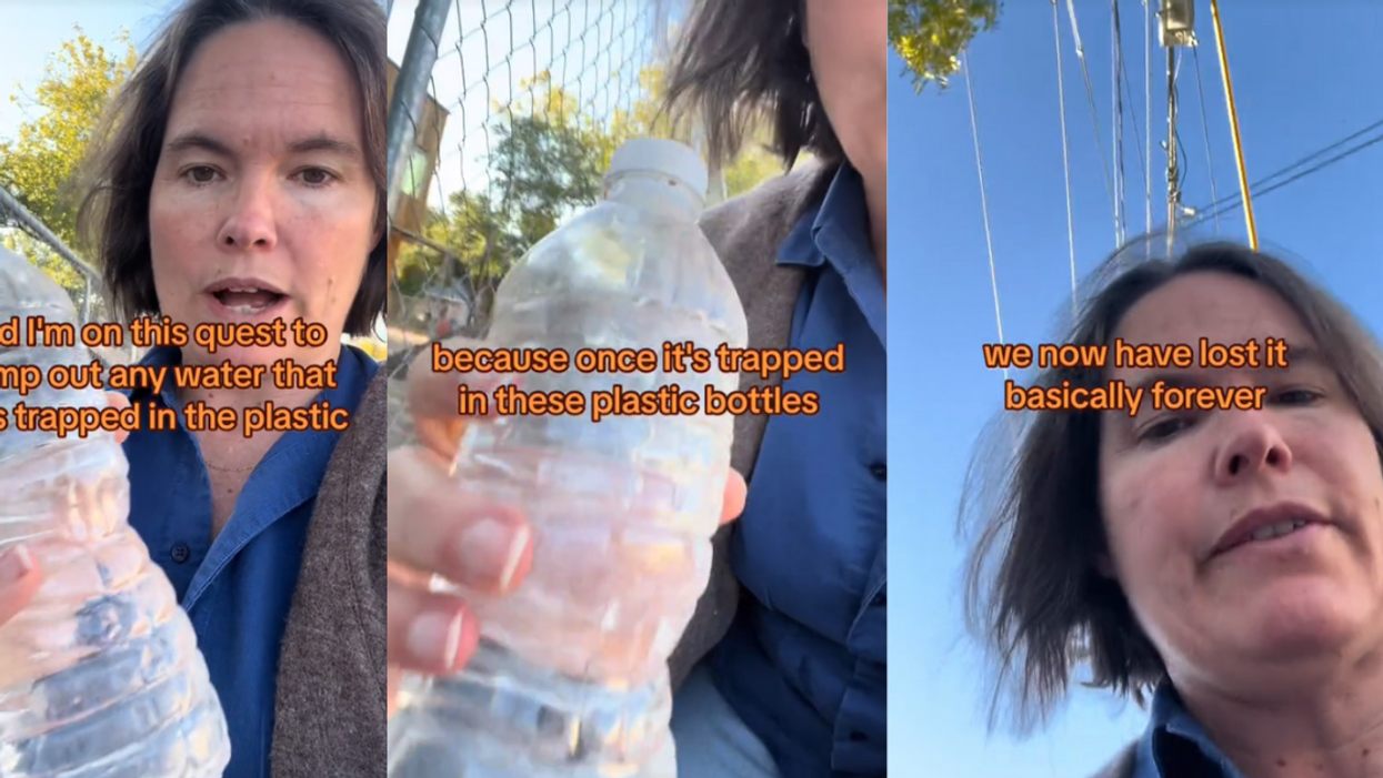 Screenshots from @spreadyourdreams' TikTok video