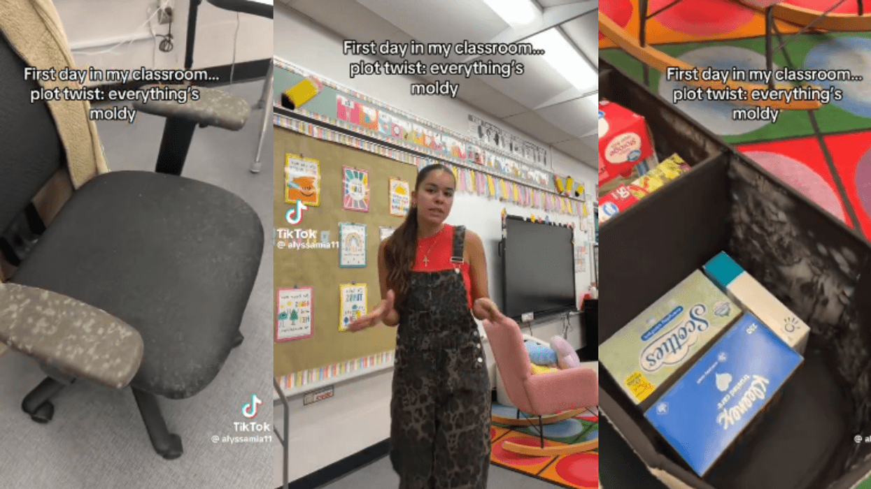 Screenshots from teacher and TikToker @alyssamia11's video
