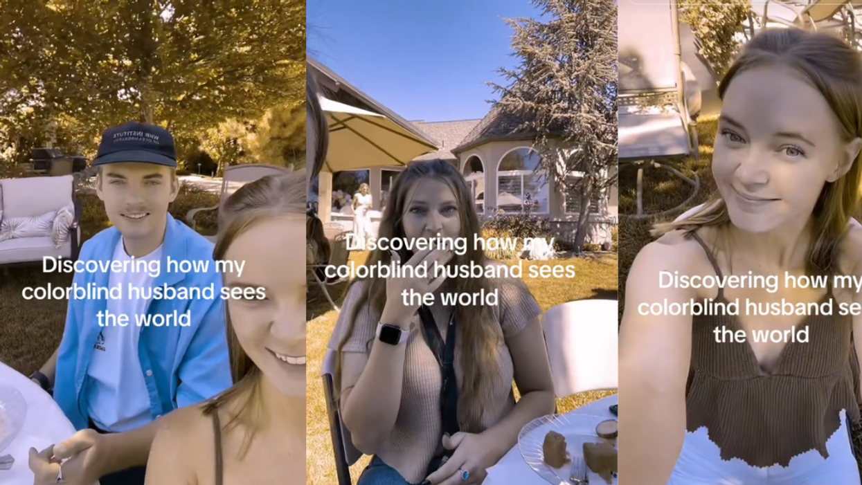 Screenshots from @tessromie's TikTok video using the colorblind filter