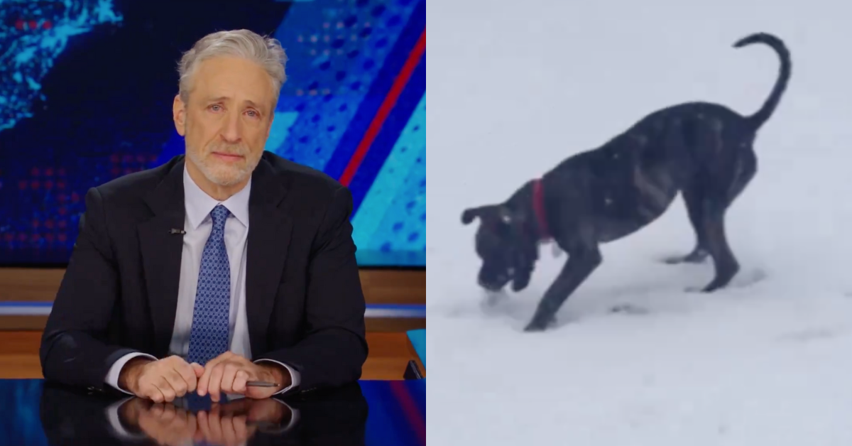 Screenshots from 'The Daily Show' of Jon Stewart; Dipper