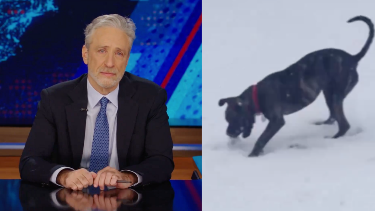 Screenshots from 'The Daily Show' of Jon Stewart; Dipper