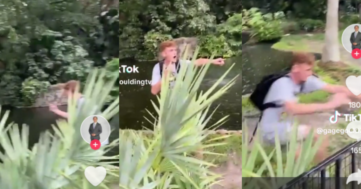 screenshots from TikTok prank video