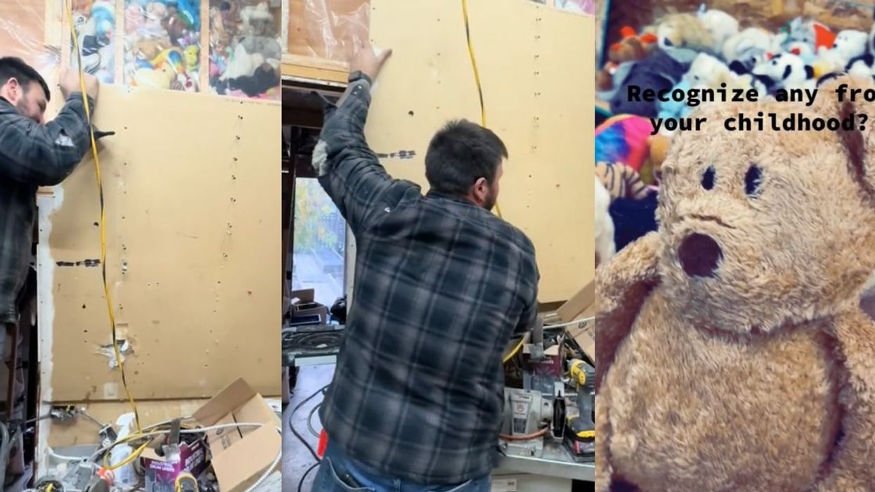 Screenshots from TikToker @c.c.woodwork's video of man exposing stuffed animal used as insulation behind dry wall