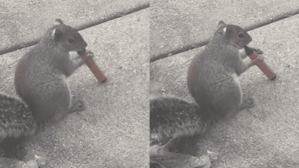 Screenshots from @tts_tiktok22's TikTok video