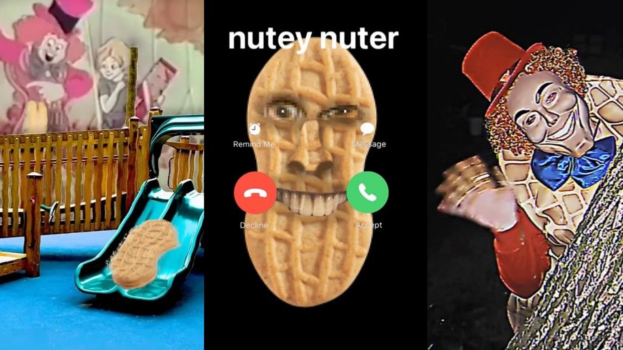 Screenshots from various Nutter Butter TikTok videos