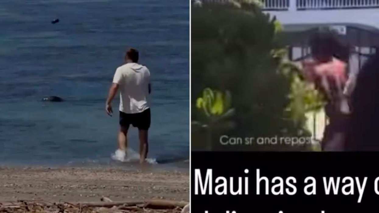 Screenshots from viral videos show the tourist accused of targeting monk seal Lani (left) and a local confronting him afterward (right).