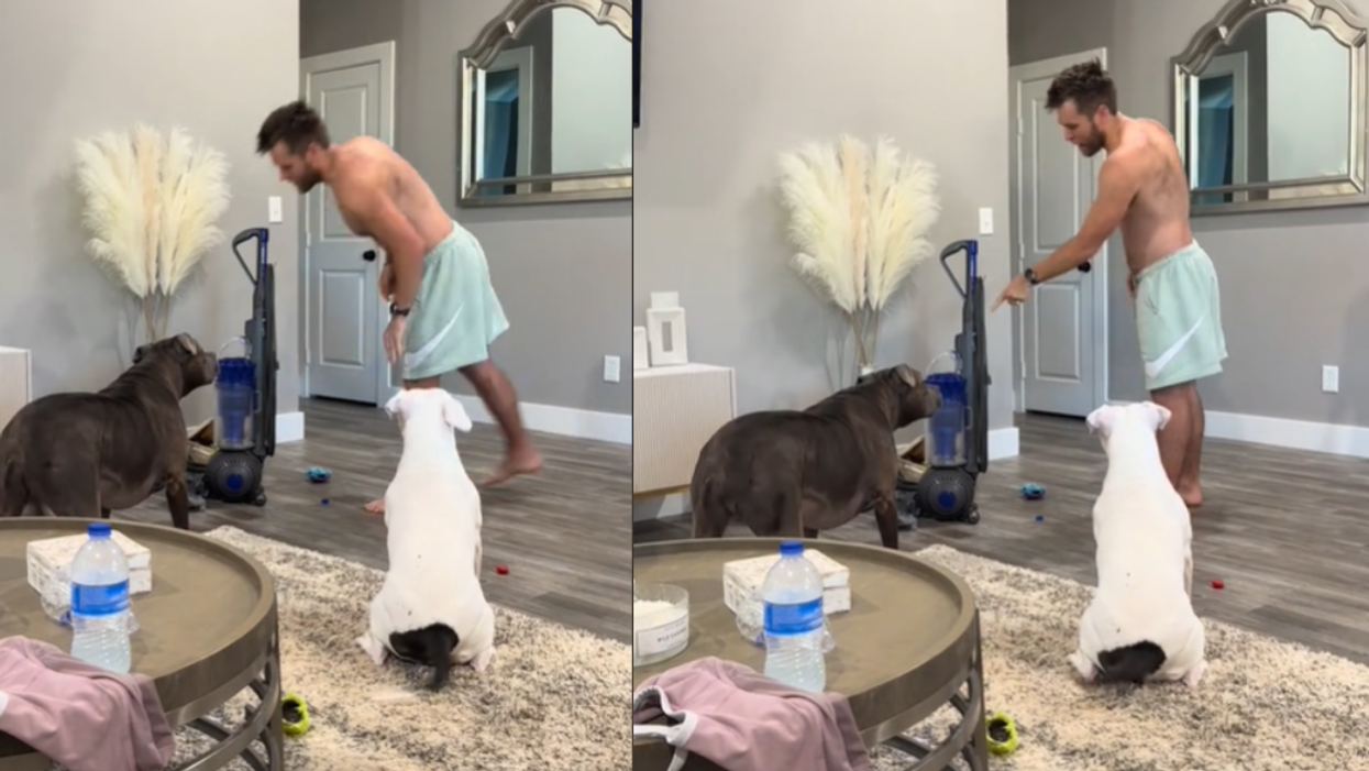 Screenshots from @weishaarfam's TikTok video