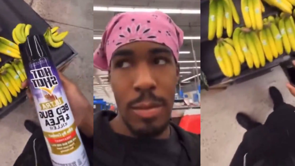 Screenshots from @wolfiekahletti_'s TikTok video