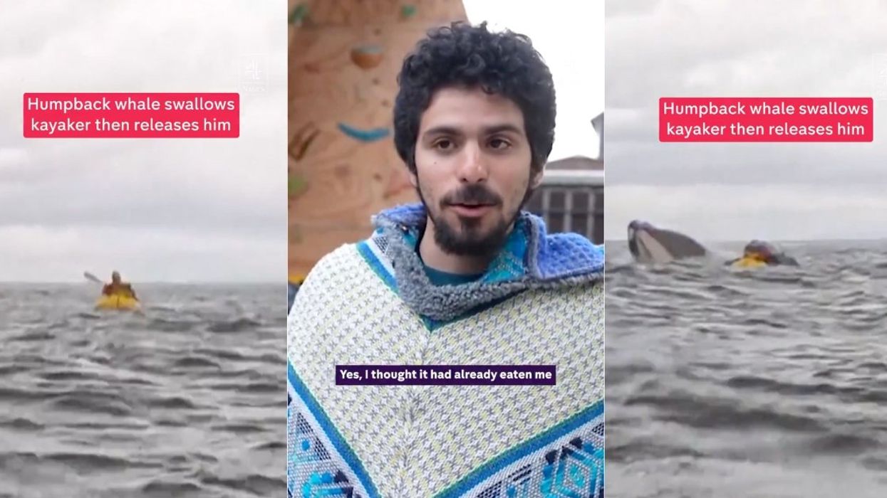 Screenshots of Adrian Simancas from Channel 4 News interview