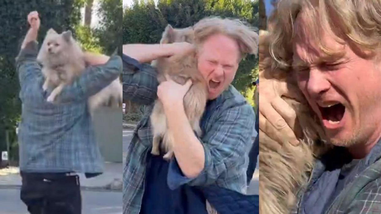 Screenshots of dog-owner being reunited with his dog