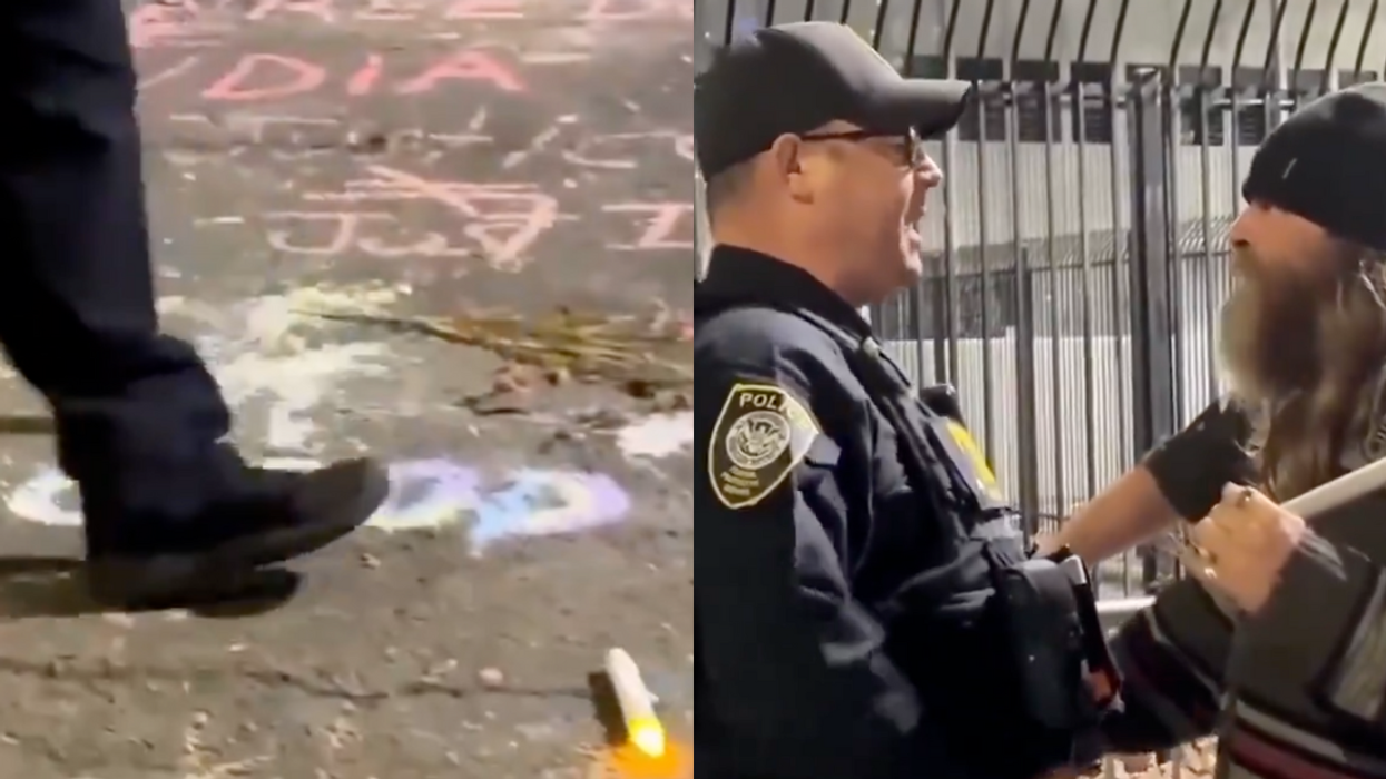 Screenshots of ICE agent kicking candle and clashing with protester at Renee Good memorial