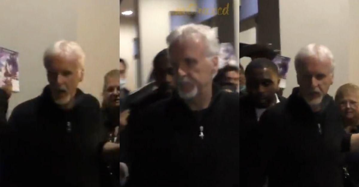 Screenshots of James Cameron leaving a theater