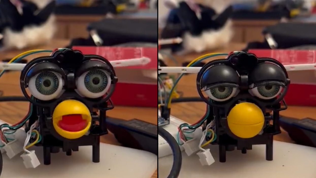 Screenshots of @jessicard’s Twitter video of a furless Furby hooked up to Raspberry Pi