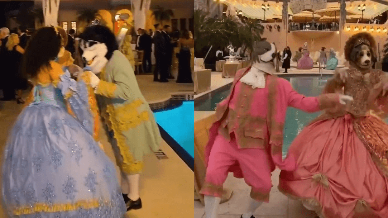 Screenshots of Mar-a-Lago performers in dog masks