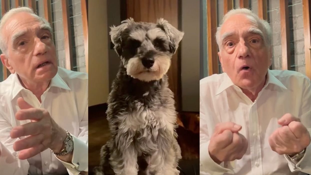 Screenshots of Martin Scorsese interviewing his dog