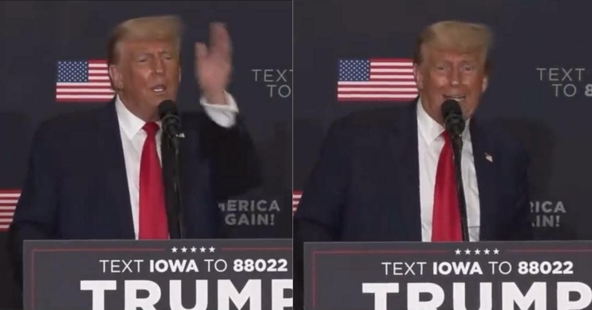 Screenshots of Trump from RSBN video