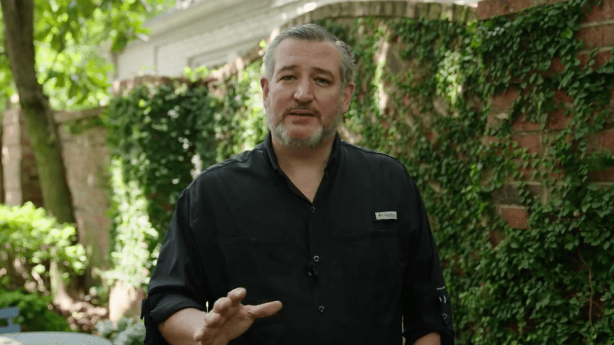 Senator Ted Cruz