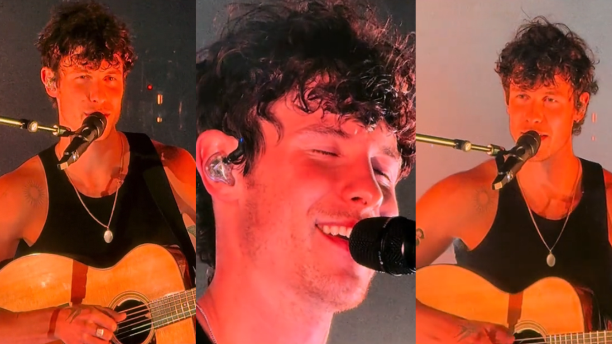 Shawn Mendes live performance; screenshots from lewisians's TikTok video