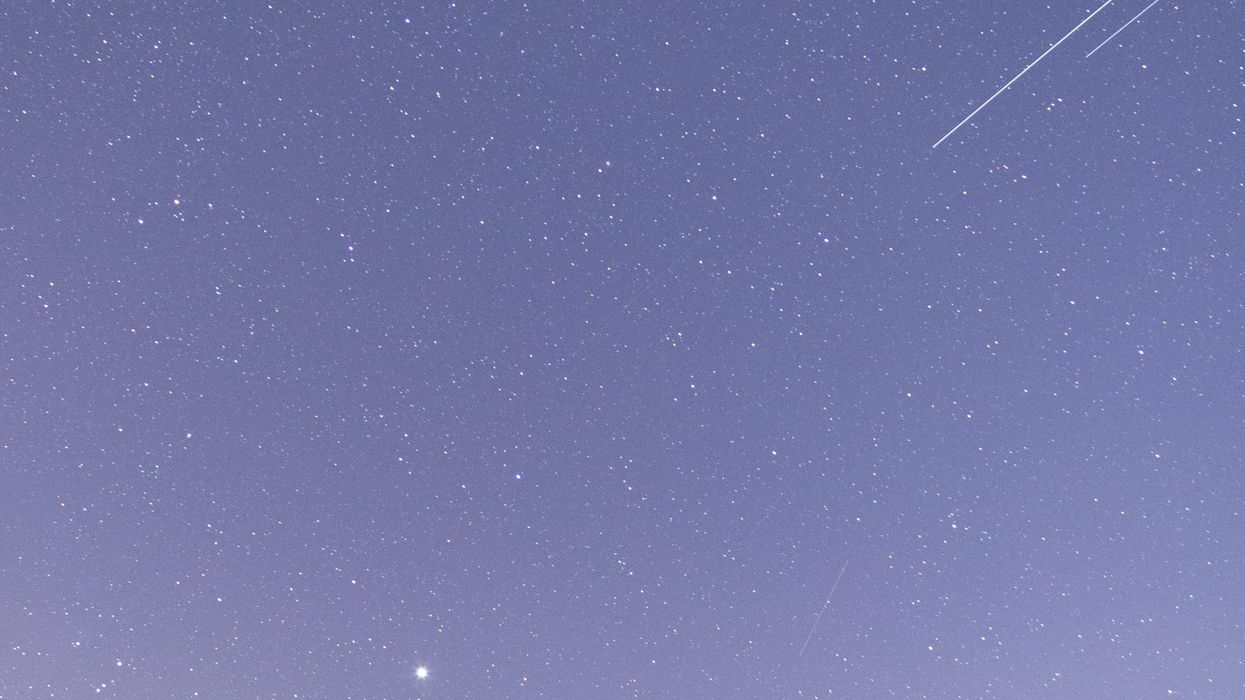 The Strangest Requests From Make-A-Wish Kids That Actually Were Granted