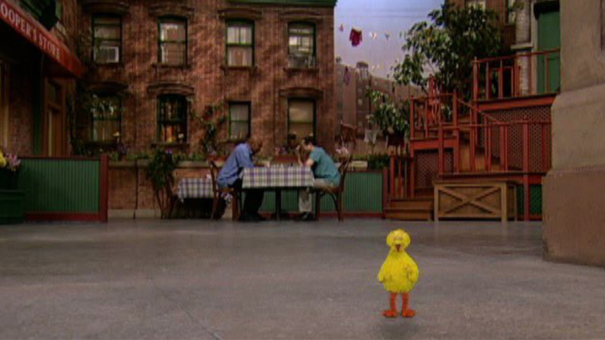 Small Big Bird