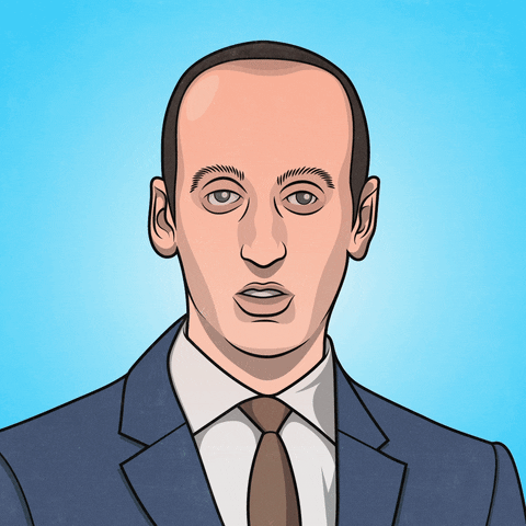 Stephen Miller GIF