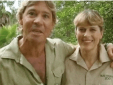 Steve and Terri Irwin GIF