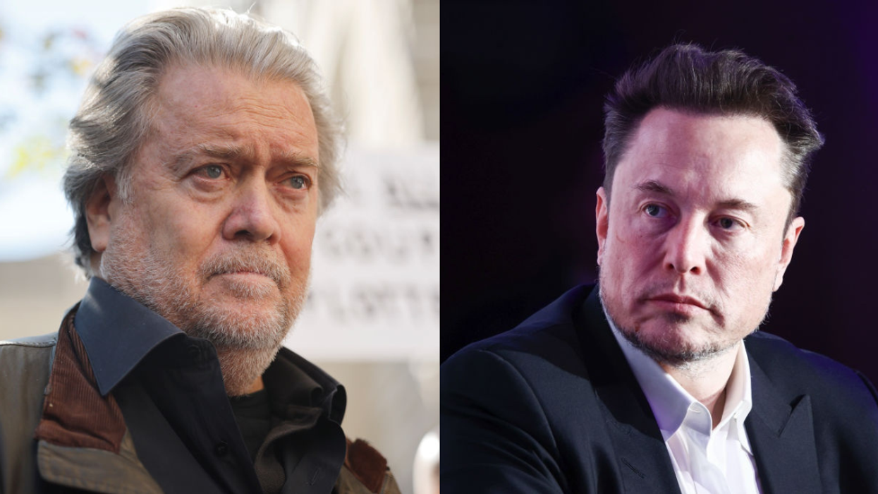 Steve Bannon; Elon Musk