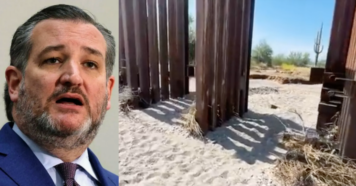 Ted Cruz; Twitter screenshot of border wall floodgates