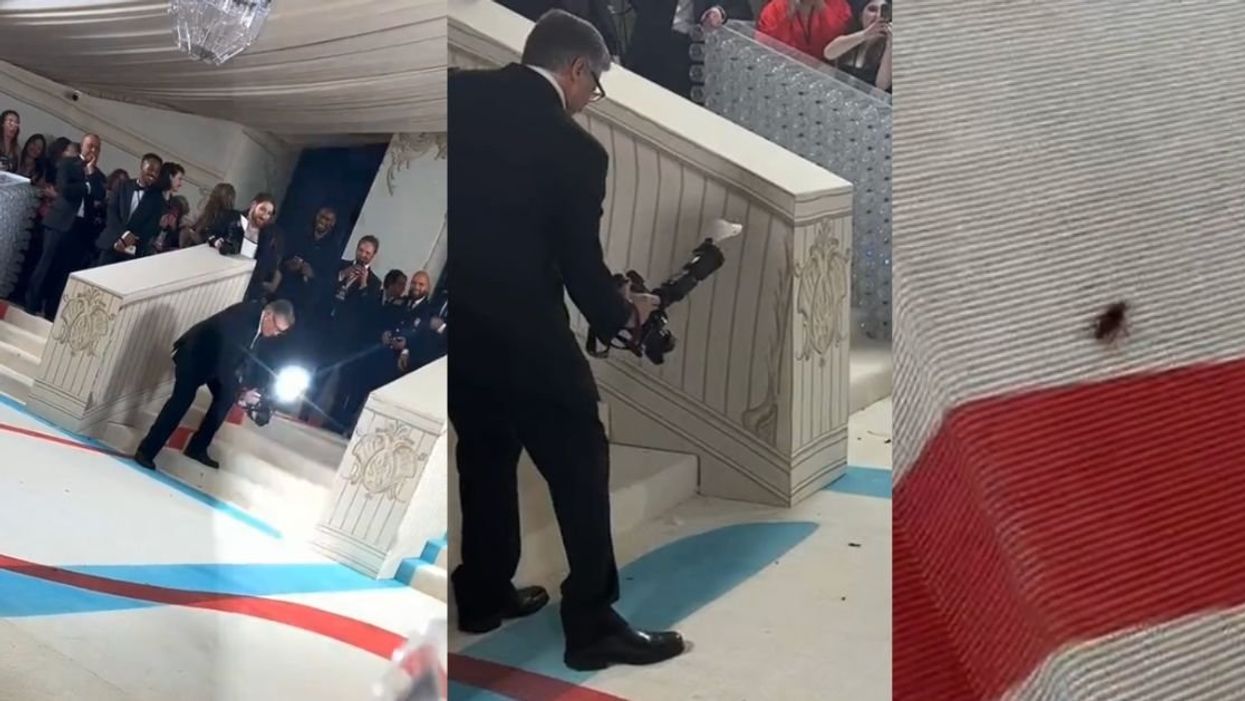 The Met Gala cockroach