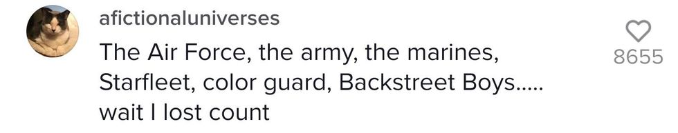 TikTok comment from user afictionaluniverses "The Air Force, the army, the marines, Starfleet, color guard, Backstreet Boys..... wait I lost count"