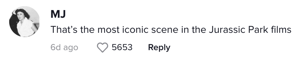 TikTok comment from user MJ: 