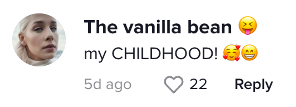 TikTok comment from user The vanilla bean [Face with Stuck-Out Tongue and Closed Eyes Emoji]: "my CHILDHOOD! [smiling face with hearts emoji][grinning emoji]"