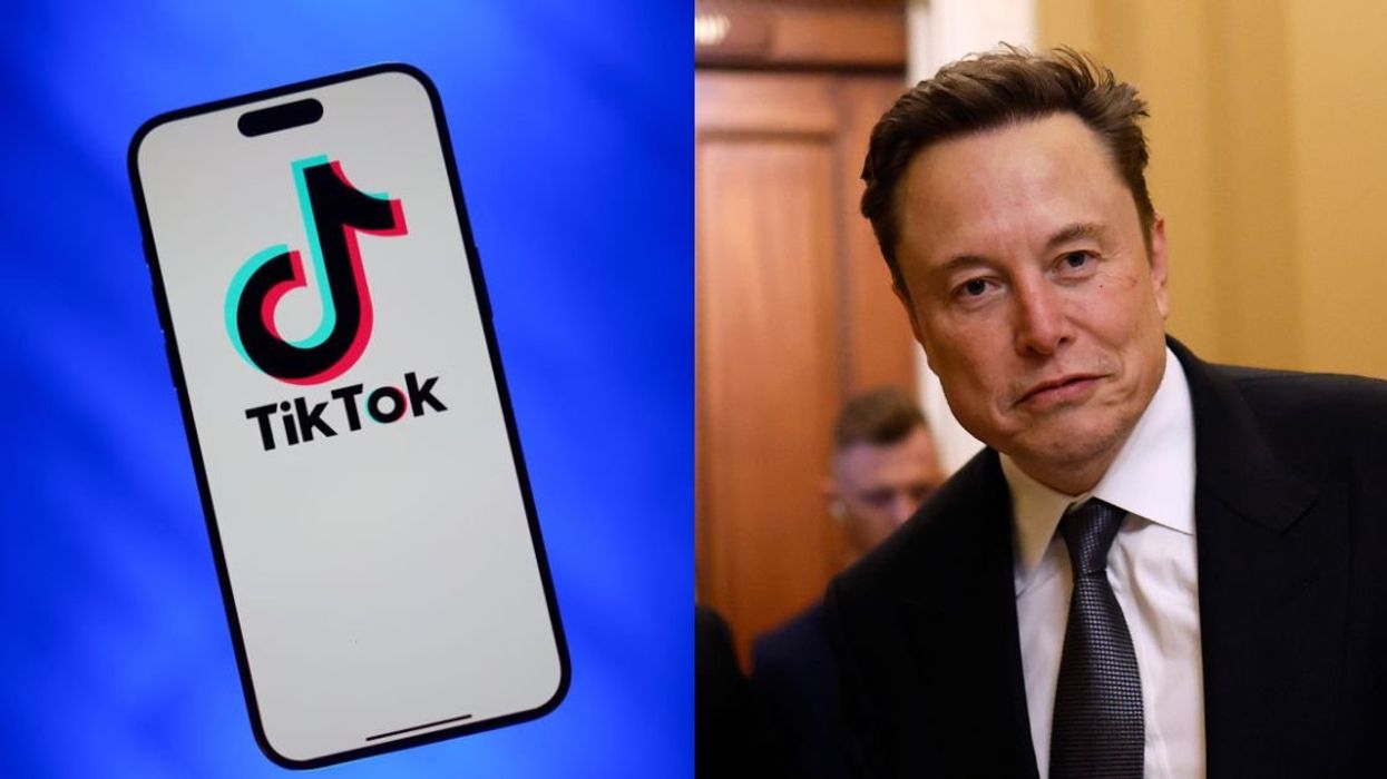 TikTok logo; Elon Musk