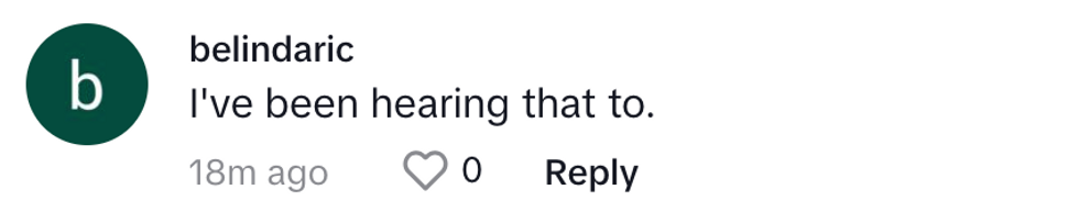 TikTok screenshot of @belindaric's post