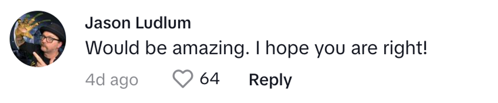 TikTok screenshot of @theludster's post