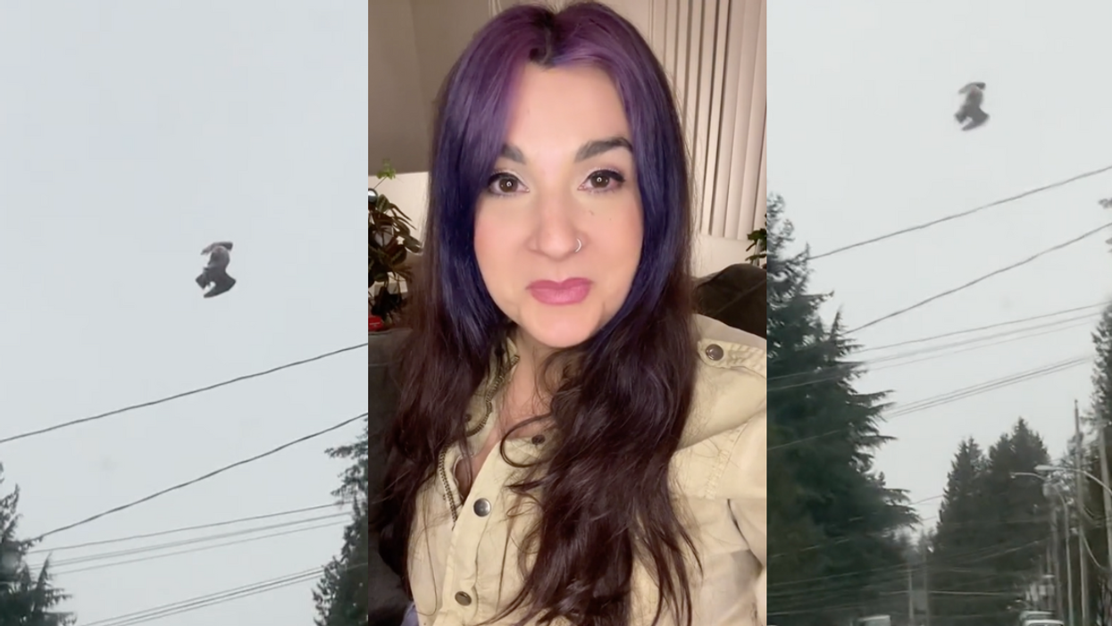 TikTok screenshots from @bluefrenchhorn26