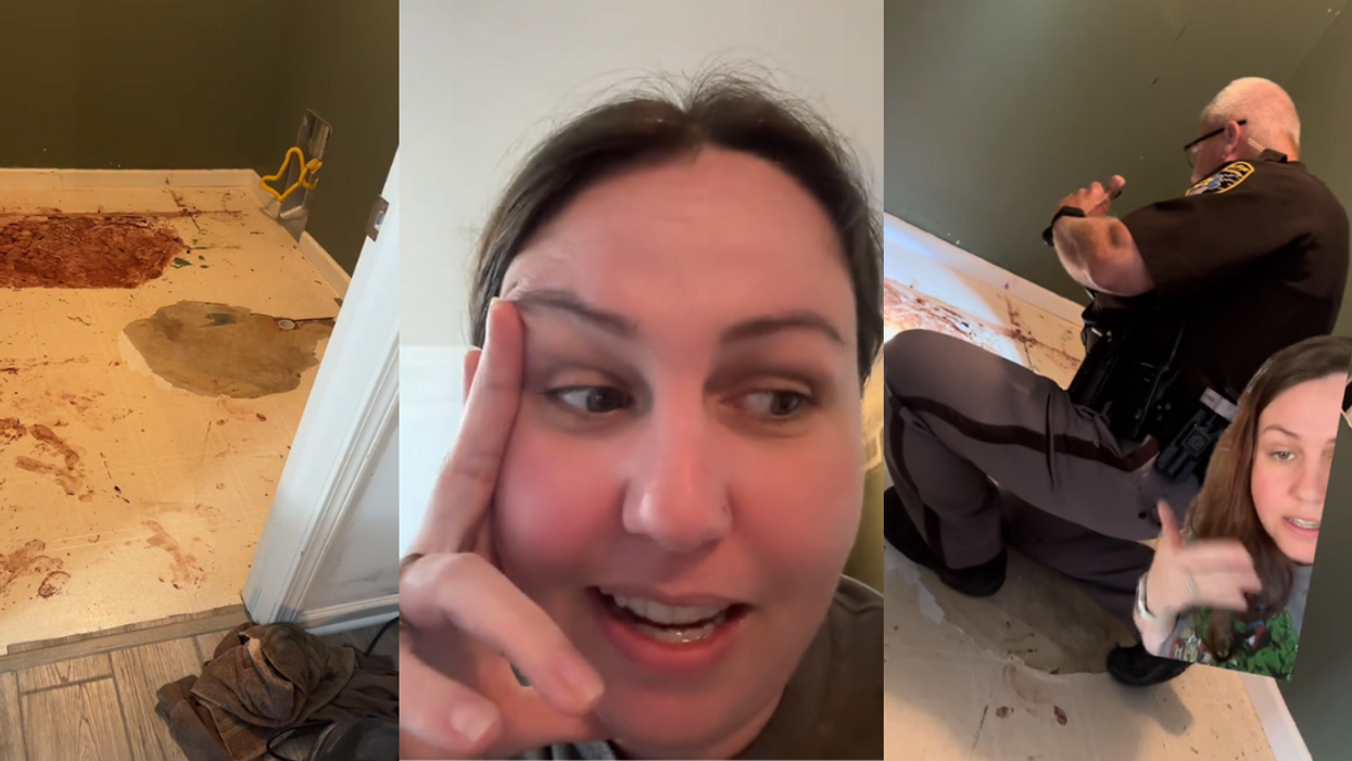 TikTok screenshots from @chickennugget8806