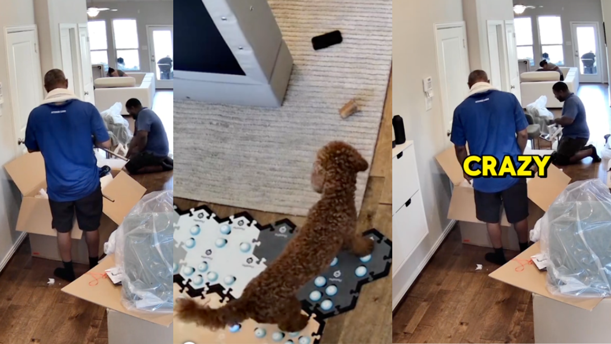 TikTok screenshots from @doodleboybax