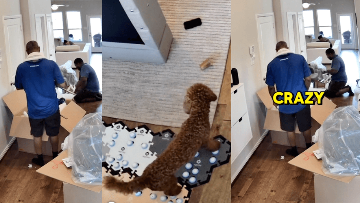 TikTok screenshots from @doodleboybax