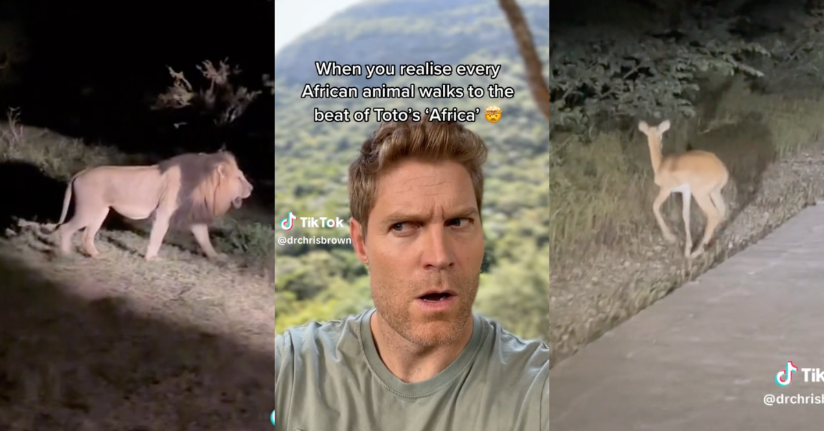 TikTok screenshots from Dr. Chris Brown