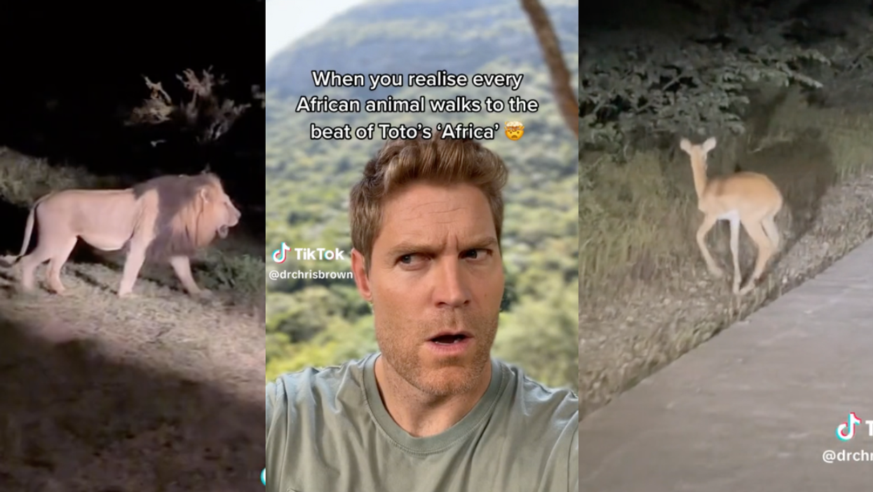 TikTok screenshots from Dr. Chris Brown