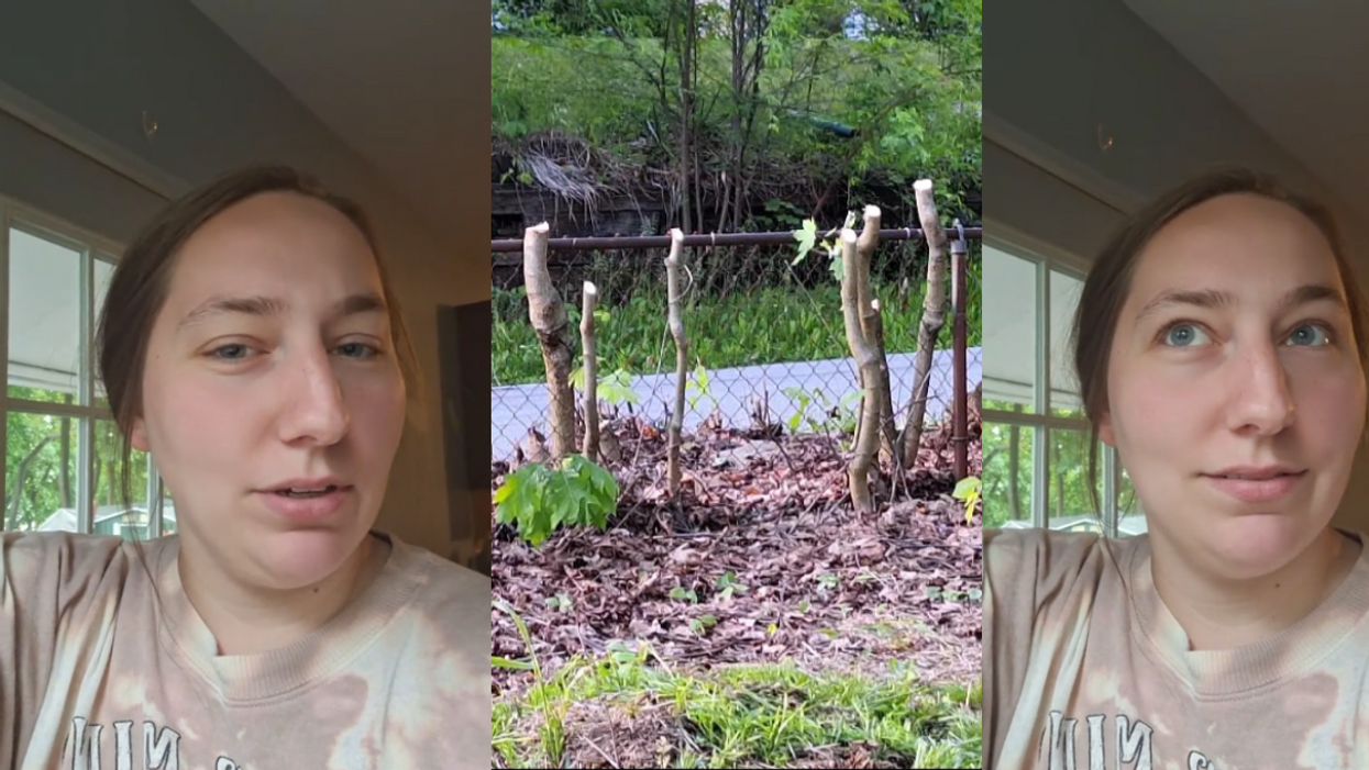 TikTok screenshots from @merleighw