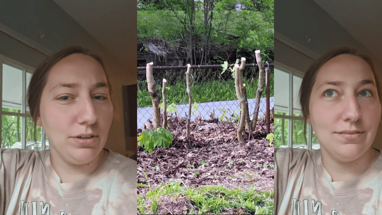 TikTok screenshots from @merleighw
