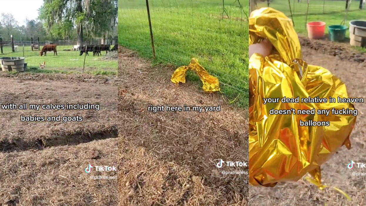 TikTok screenshots from @prairiejess