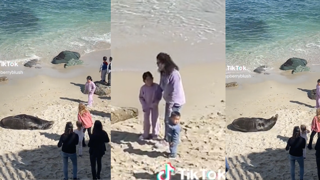 TikTok screenshots from @raspberryblush_