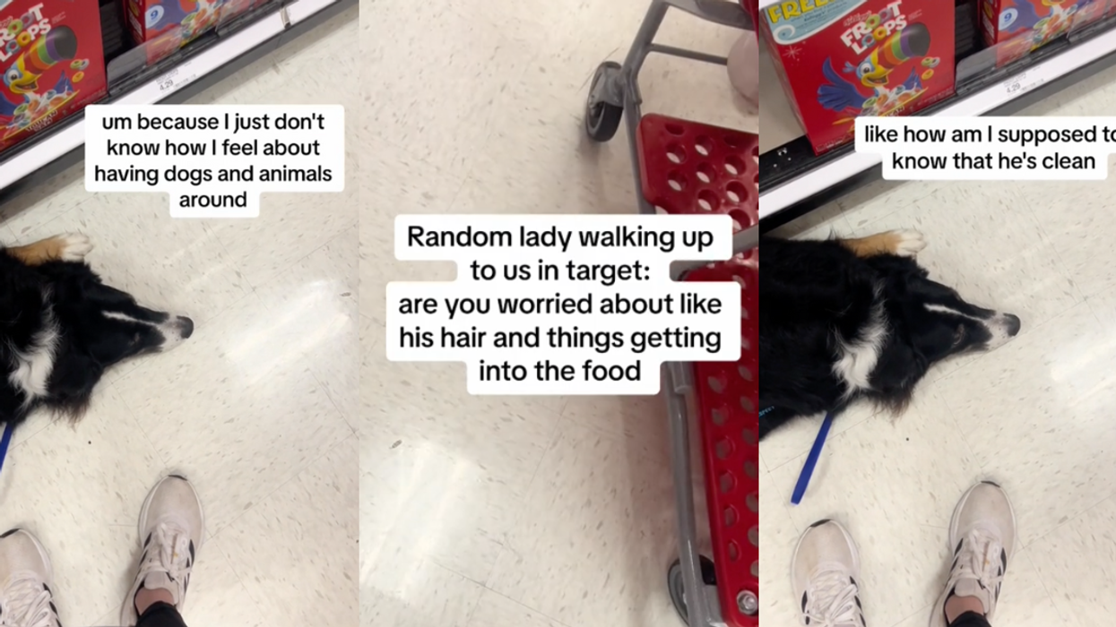 TikTok screenshots from @serviceaussiebailey