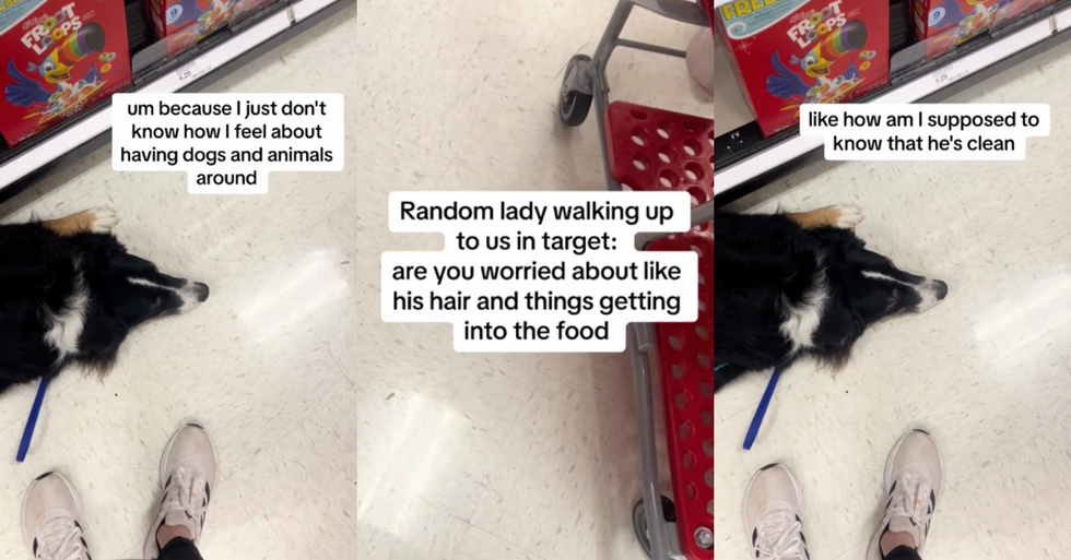 TikTok screenshots from @serviceaussiebailey