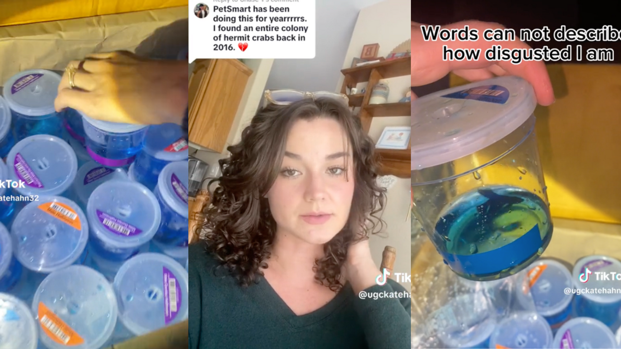 TikTok screenshots from @ugckatehahn32