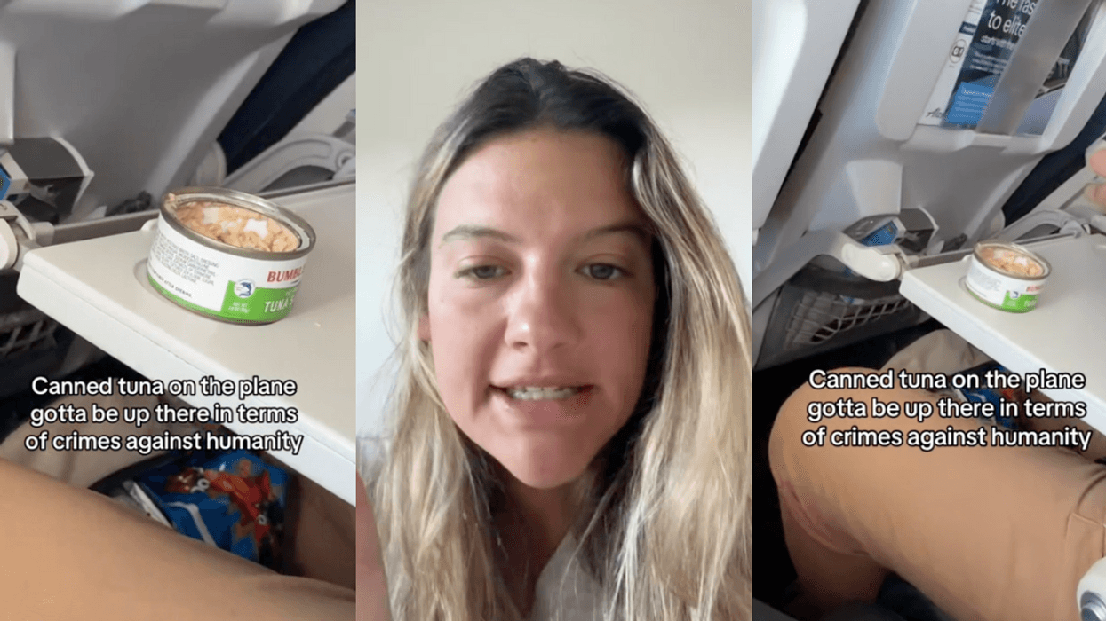 TikTok screenshots of @allyjaksen and tuna on plane